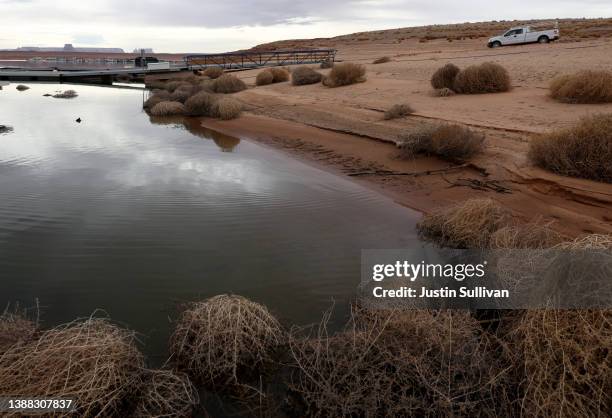 Tumbleweeds collect on the banks of Lake Powell on March 28, 2022 in Page, Arizona. As severe drought grips parts of the Western United States, water...