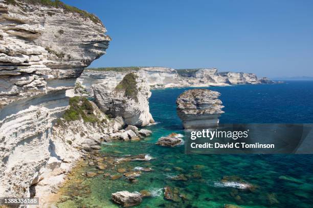 Stack Island Game Reserve Photos and Premium High Res Pictures - Getty ...