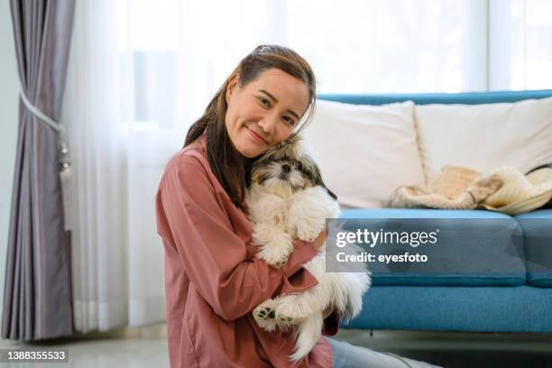 young women are playing with little cute dog at home. - shih tzu stock pictures, royalty-free photos & images