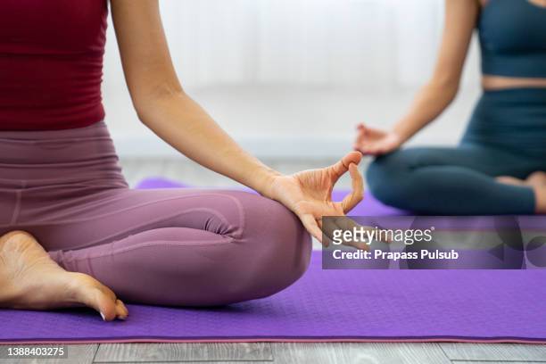 women practicing yoga at home - yoga caliente fotografías e imágenes de stock