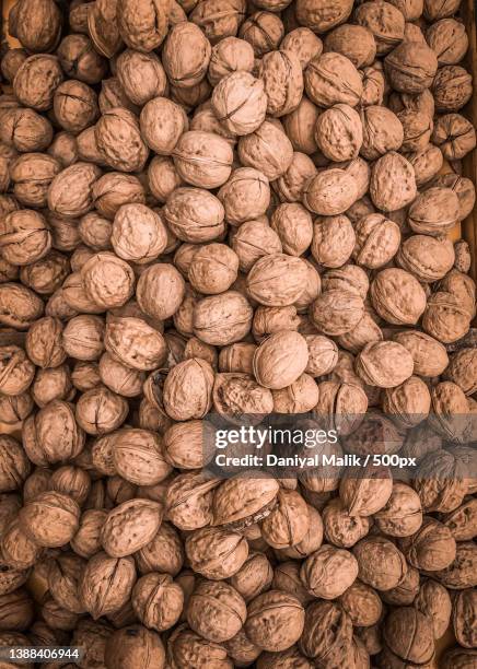 full frame shot of walnuts,karachi city,sindh,pakistan - walnuts stockfoto's en -beelden