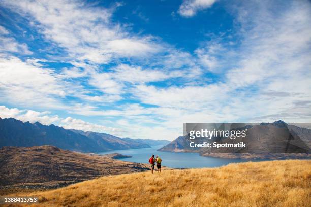landscape view the remarkables national park new zealand - queenstown new zealand foto e immagini stock