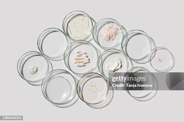 petri dishes with various cosmetics on a white background. concept of laboratory research of cosmetics. dermatology science. natural medicine, cosmetic research, organic beauty products. flat lay, top view - boîte de pétri photos et images de collection