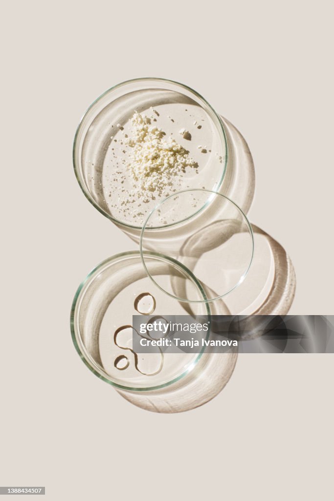 Petri dishes with sample beauty products on beige background. Concept of laboratory research of cosmetics. Dermatology science. Natural medicine, cosmetic research, organic beauty products. Top view, flat lay.