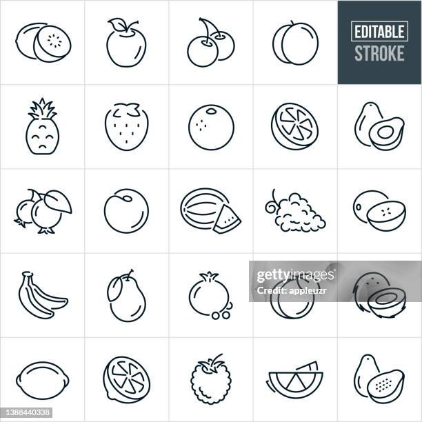 bildbanksillustrationer, clip art samt tecknat material och ikoner med fruit thin line icons - editable stroke - apelsin