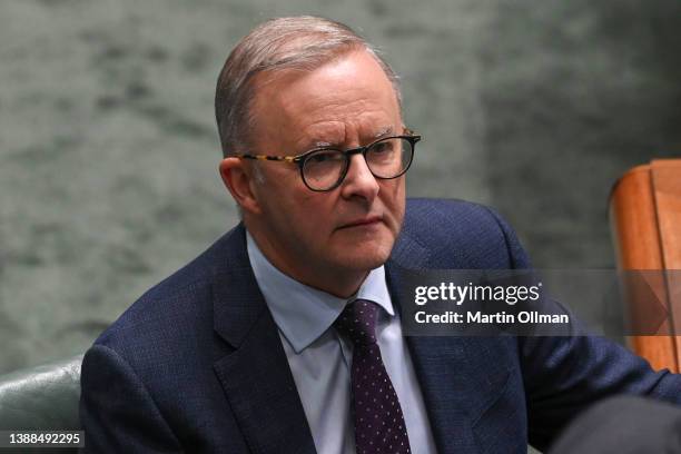 Leader of the Opposition, Anthony Albanese looks on during question time in the House of Representatives at Parliament House on March 30, 2022 in...