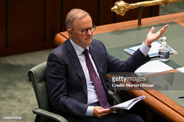 Leader of the Opposition, Anthony Albanese reacts during question time in the House of Representatives at Parliament House on March 30, 2022 in...