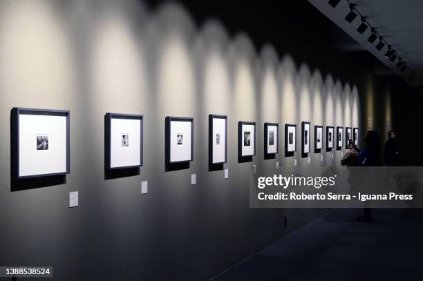 Visitor views works by American photographer Edward Weston during the "Weston: Edward, Brett, Cole, Cara. A Dynasty of Photographers" Exhibition...