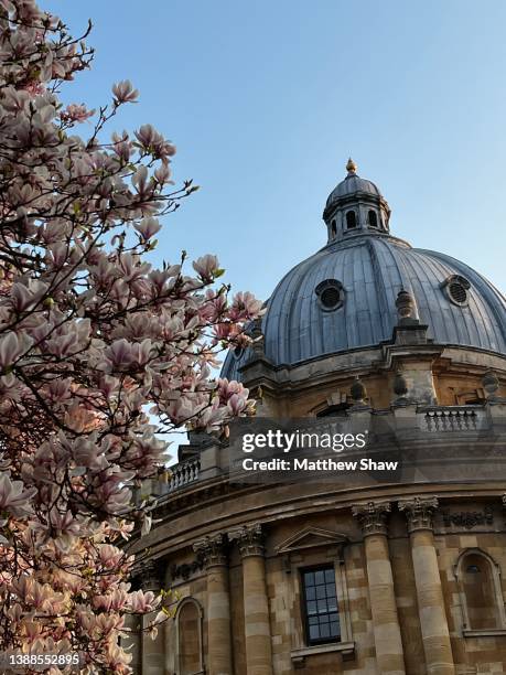 radcliffe camera - radcliffe camera stock pictures, royalty-free photos & images