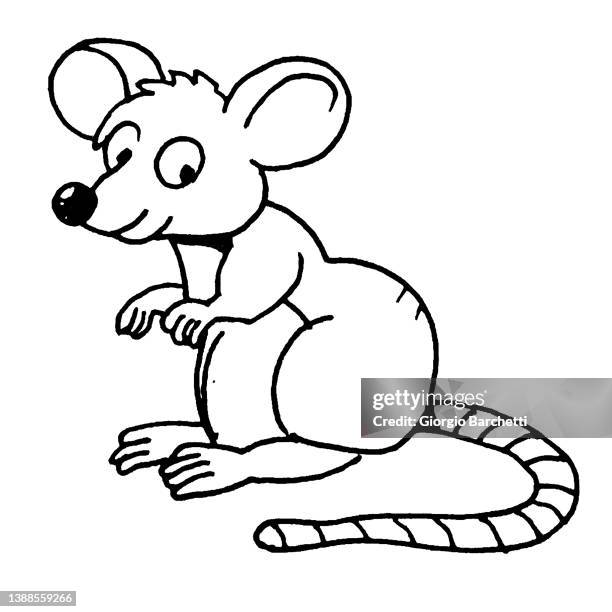 Mouse High-Res Vector Graphic - Getty Images
