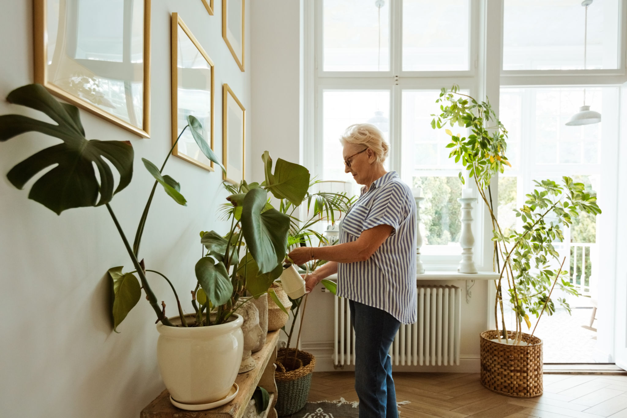 watering plants