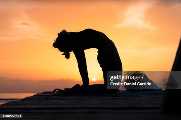 yoga at sunrise, girl doing yoga on a pier, linear sunset, background, - sunrise yoga foto e immagini stock