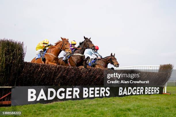 Brendan Powell riding Rectory Oak clear the last to win The Third Complimentary CRS Race Day Novices' Handicap Chase at Wincanton Racecourse on March...