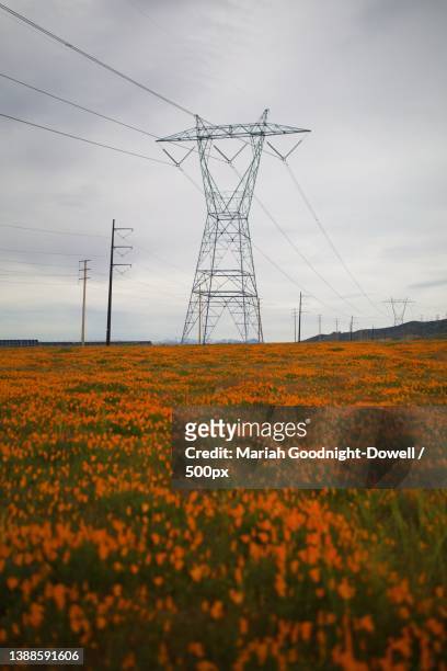 high voltage post on the meadow,lancaster,california,united states,usa - lancaster california stockfoto's en -beelden