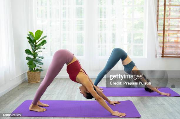 women practicing yoga at home - bikram yoga stock pictures, royalty-free photos & images