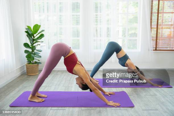 women practicing yoga at home - hot yoga stock pictures, royalty-free photos & images