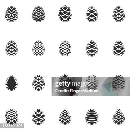 Pine cone vector set Pine cone vector set