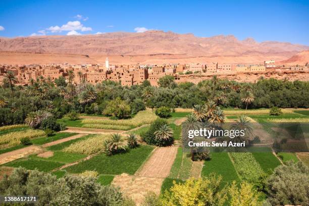 panaromische ansicht der stadt tenehir, die am fuße des atlasgebirges erbaut wurde. häuser, die als kasbah gebaut wurden, erscheinen. - oase stock-fotos und bilder