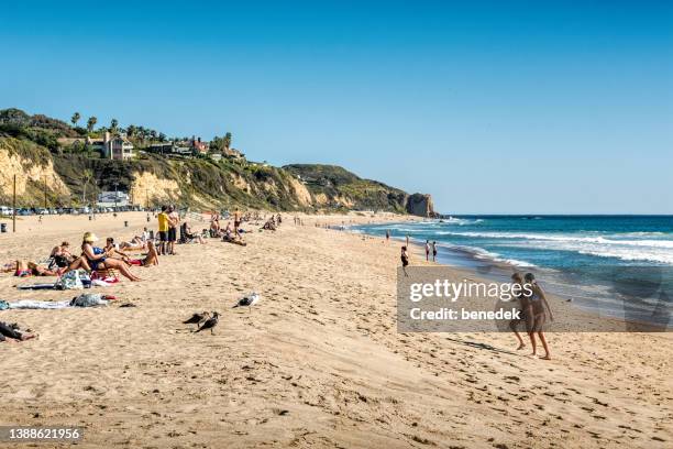 malibu los angeles california zuma beach - zuma beach foto e immagini stock