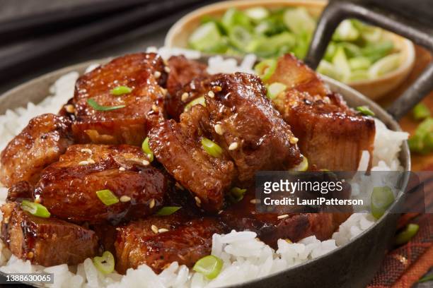 chinese braised pork belly - hoisin sauce stock pictures, royalty-free photos & images