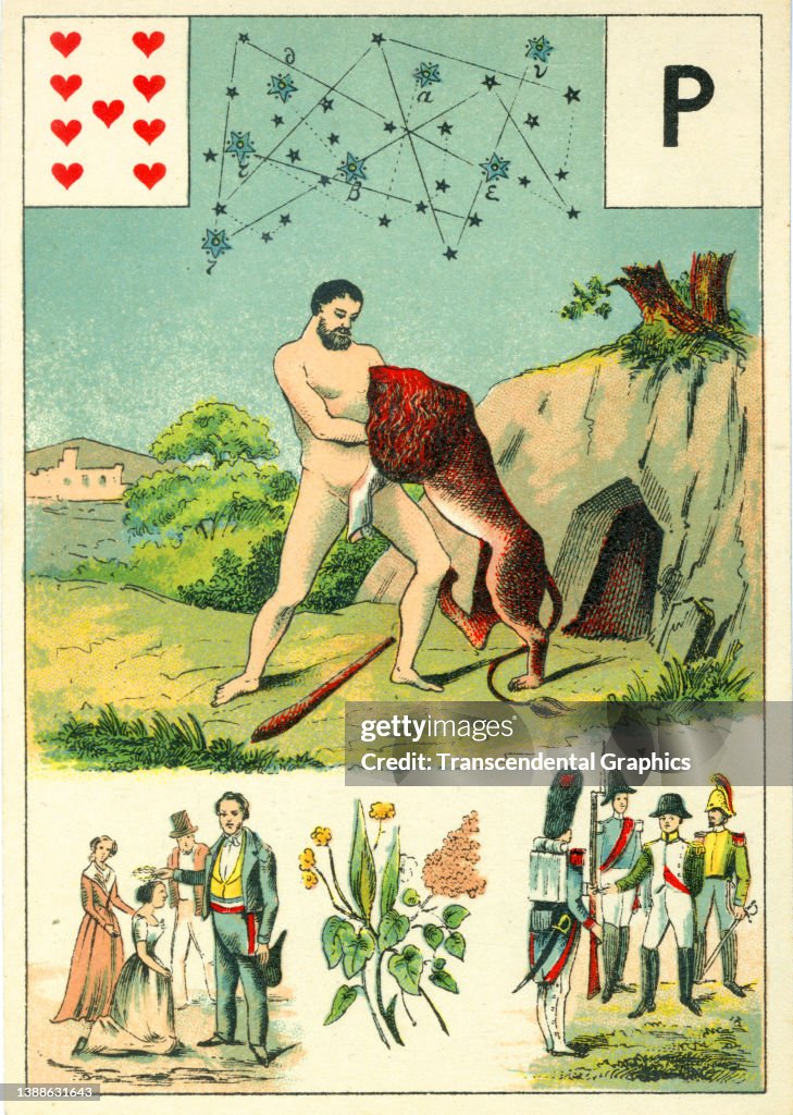Nine Of Hearts 'Hercules'