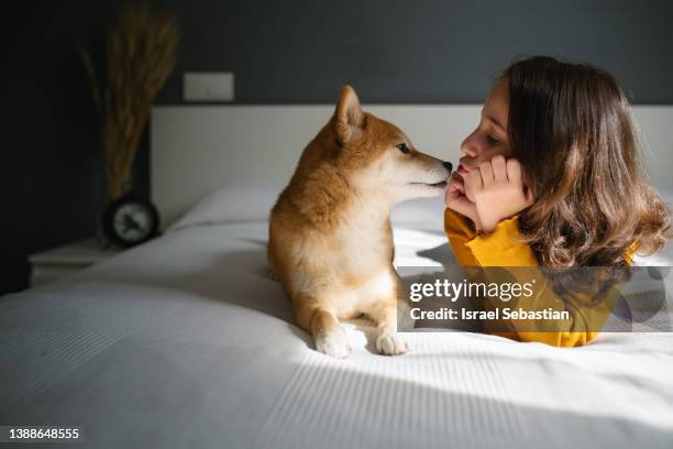 young girl kissing her cute dog while lying on a bed together at home. - dog kiss stock pictures, royalty-free photos & images