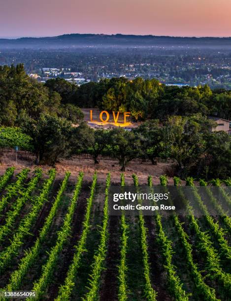 Large metal "LOVE" sculpture, originally created for the 2011 Burning Man Festival, is viewed from top of the hill at Paradise Ridge Winery on March...