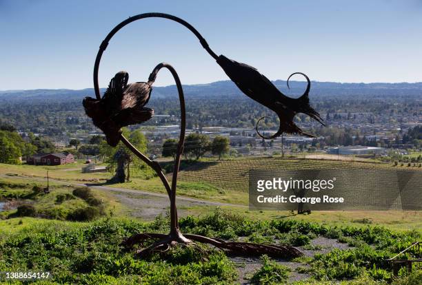 One of the many large-scale outdoor sculptures at Paradise Ridge Winery is viewed on March 22 in Santa Rosa, California. Paradise Ridge Winery was...