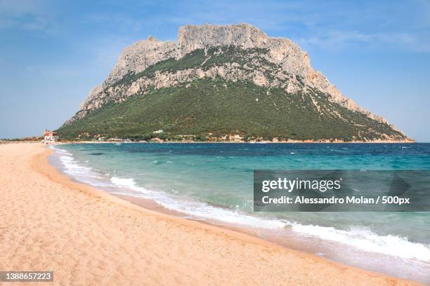 the tavolara island,sardinia,scenic view of beach against sky,province of sassari,italy - tavolara foto e immagini stock