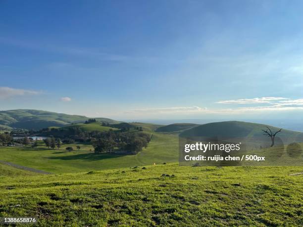 a nice day,scenic view of field against sky,santa clara county,california,united states,usa - verwaltungsbezirk santa clara county kalifornien stock-fotos und bilder