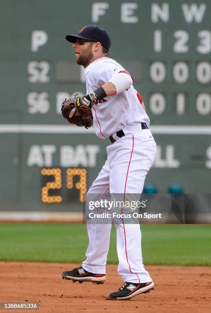 Dustin Pedroia of the Boston Red Sox in action against the Philadelphia Phillies during a Major League Baseball game on June 13, 2010 at Fenway Park...