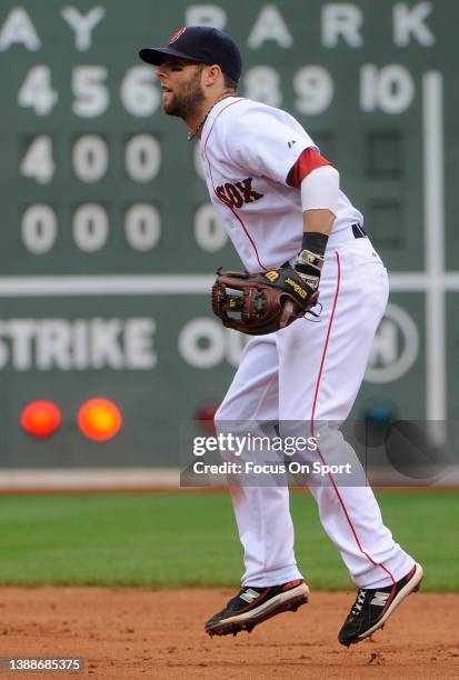 Dustin Pedroia of the Boston Red Sox in action against the Philadelphia Phillies during a Major League Baseball game on June 13, 2010 at Fenway Park...