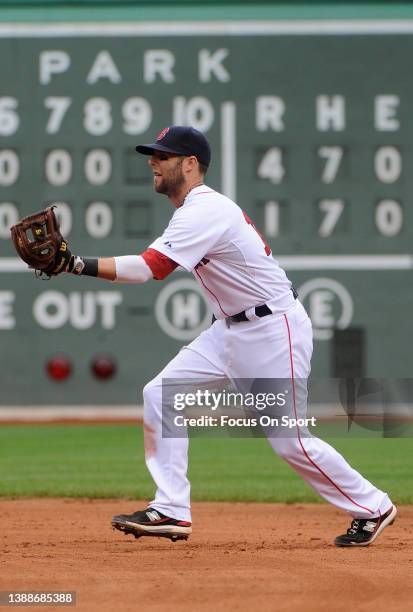 Dustin Pedroia of the Boston Red Sox in action against the Philadelphia Phillies during a Major League Baseball game on June 13, 2010 at Fenway Park...