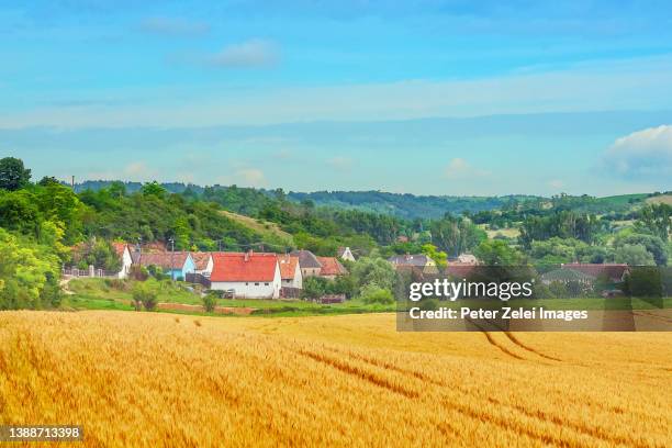 hungarian village with wheat field - ハンガリー ストックフォトと画像