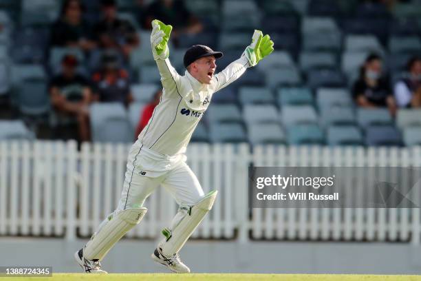 Sam Harper of Victoria appeals for the wicket of Cameron Bancroft of Western Australia during day one of the Sheffield Shield Final match between...