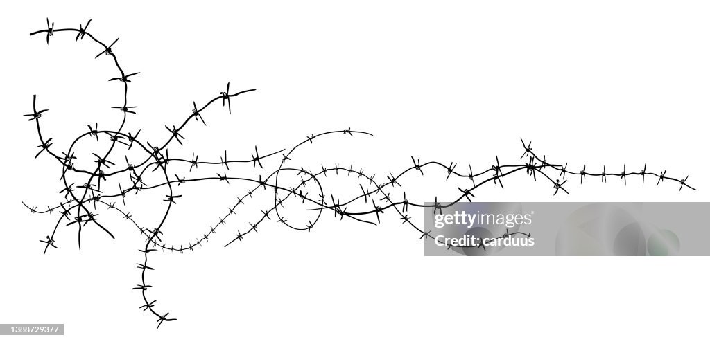 Black and white barbwire