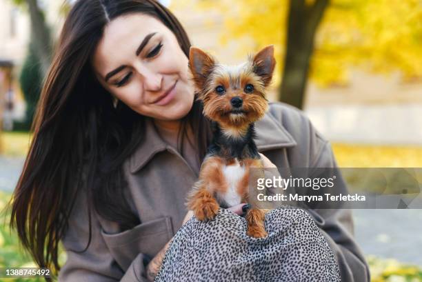 young woman outside with pet dog that terrier. small breed of dogs. - hund klein stock-fotos und bilder