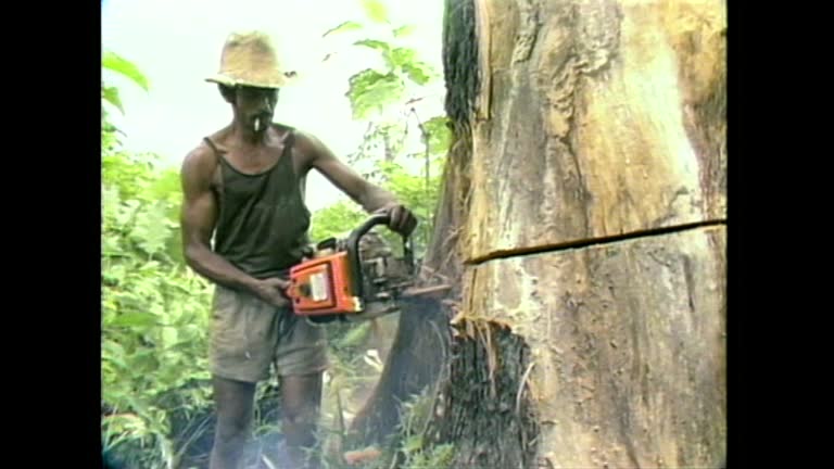 Logging Man 310 Vintage Logging Tools Stock Videos, Footage, & 4K Video Clips ...