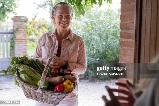 here's your vegetable basket - plant based diet stock pictures, royalty-free photos & images