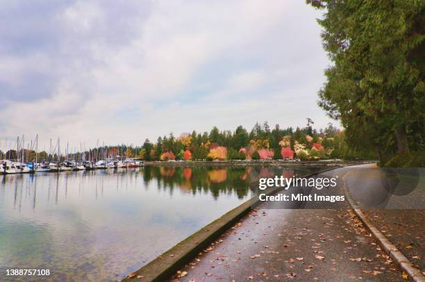 stanley park in autumn, pathway along the waterfront, marina and woodland. - stanley park fotografías e imágenes de stock