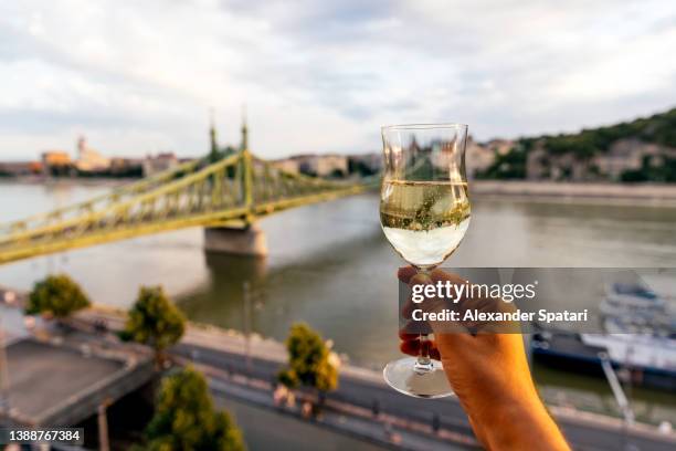 man drinking sparkling wine with view of danube river and liberty bridge in budapest, hungary - hungary hotel stock pictures, royalty-free photos & images