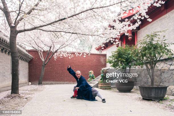 Monk practices Kung Fu underneath blooming cherry blossoms at Shaolin Temple on March 30, 2022 in Dengfeng, Zhengzhou City, Henan Province of China.