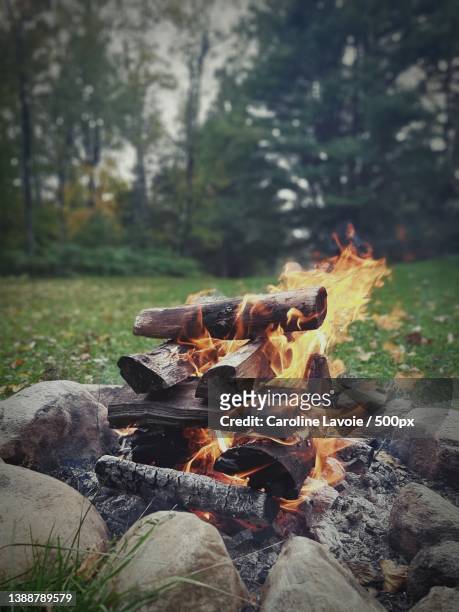 campfire,close-up of bonfire on field,nominingue,canada - campfire no people stock pictures, royalty-free photos & images