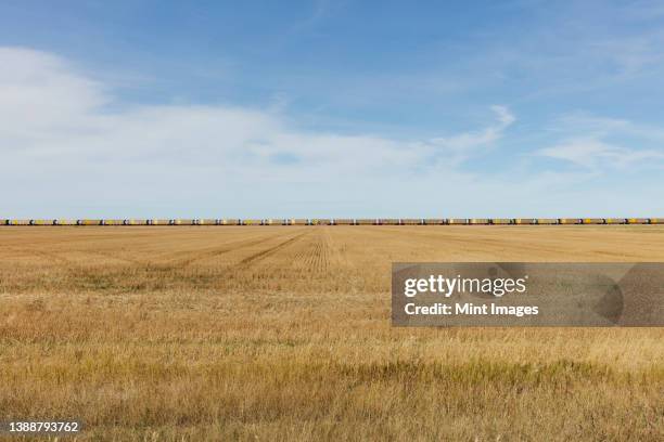 view across a stubble field and the long line of yellow boxcar wagons of a freight train on the horizon line. - grandes planícies imagens e fotografias de stock