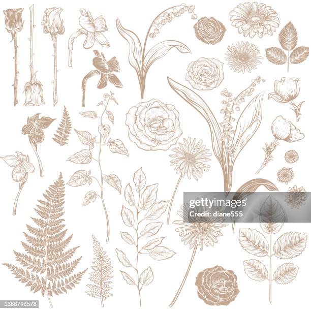 Flower Base Examples 7,057 Flower Base Stock Photos, High-Res Pictures, and Images - Getty ...