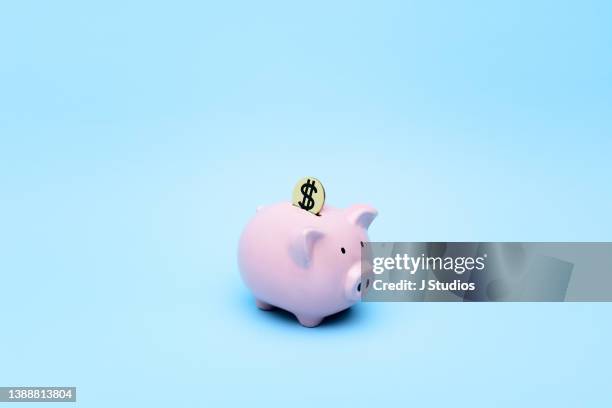 pink piggy bank with a gold dollar coin in its opening - financial education stock pictures, royalty-free photos & images