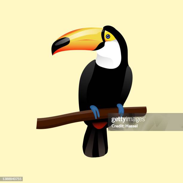 toucan bird illustration - macaw stock illustrations