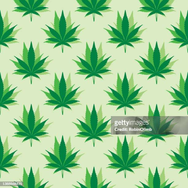 ilustrações de stock, clip art, desenhos animados e ícones de multiple marijuana leaves seamless pattern - marijuana design