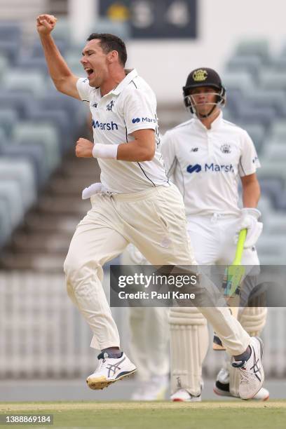 Scott Boland of Victoria celebrates the wicket of Cameron Bancroft of Western Australia during day two of the Sheffield Shield Final match between...