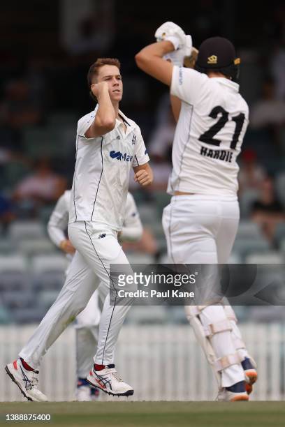 Mitch Perry of Victoria celebrates the wicket of Aaron Hardie of Western Australia during day two of the Sheffield Shield Final match between Western...